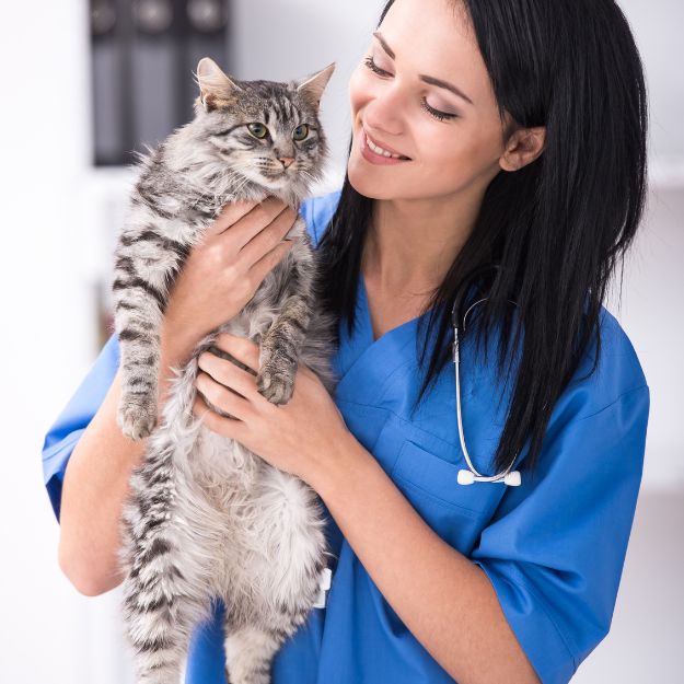 A person in a blue uniform and glasses holds a white and gray cat with blue eyes