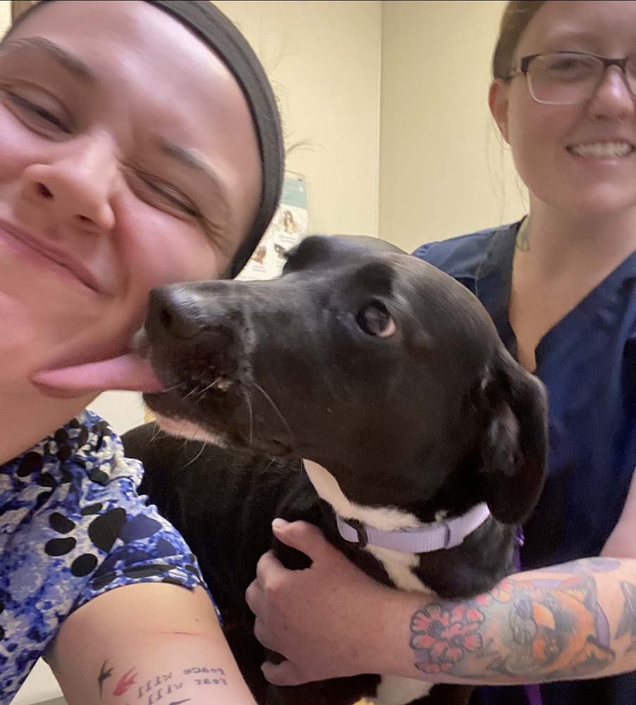 Vet holding a small dog